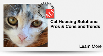 Trends in Cat Housing